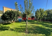 Casa de camp amb terreny en venda a la España, O Calvario, ref.: TR151160 foto
