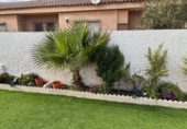 Xalet independent amb terreny en venda a la España, San Javier, ref.: TR239760 foto