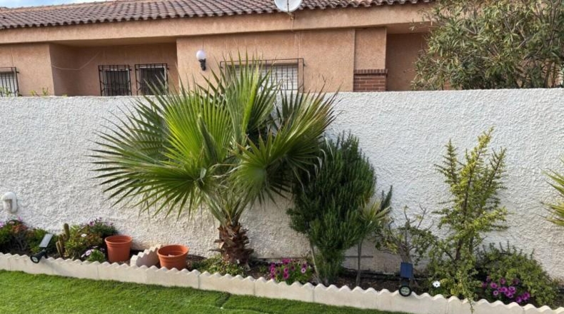 Murcia - San Javier - 791m2
