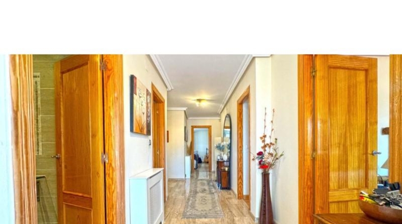 Alicante - Torrevieja - 1000m2