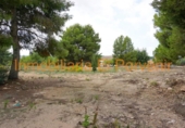 Urban land for sale on España, Torrent, ref: TR383179 photo