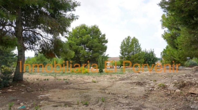 Valencia - Torrente - 2036m2