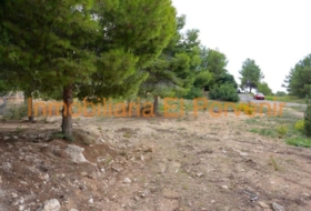 Torrent 2036&nbsp;m²