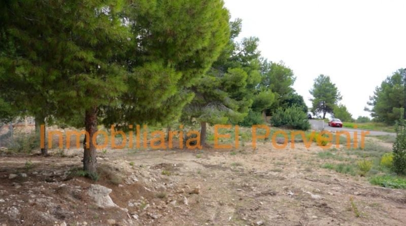 Valencia - Torrente - 2036m2