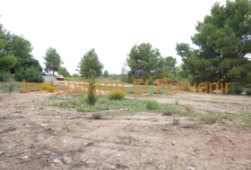 Torrent 2036&nbsp;m²