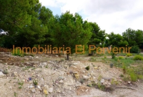 Torrent 2036&nbsp;m²