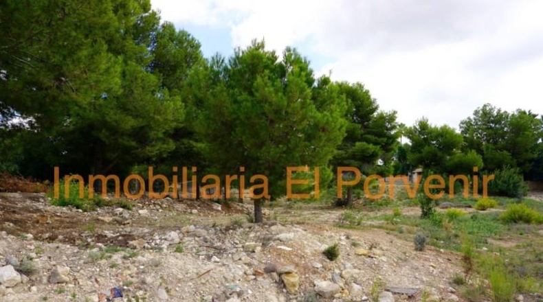 Valencia - Torrente - 2036m2
