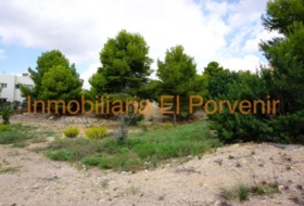 Torrent 2036&nbsp;m²