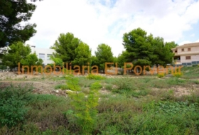 Torrent 2036&nbsp;m²