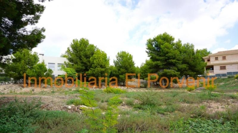 Valencia - Torrente - 2036m2