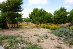 Torrent 2036&nbsp;m²