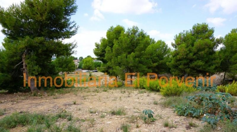 Valencia - Torrente - 2036m2
