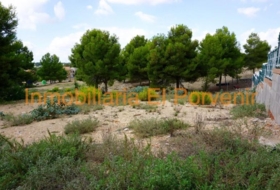 Torrent 2036&nbsp;m²