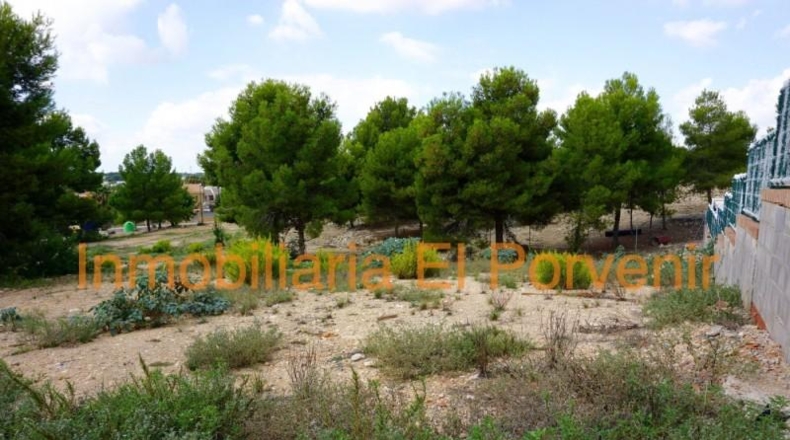 Valencia - Torrente - 2036m2