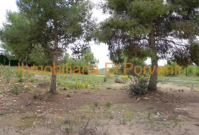 Torrent 2036&nbsp;m²