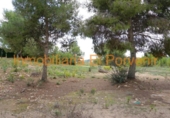 Urban land for sale on España, Torrent, ref: TR383179 photo