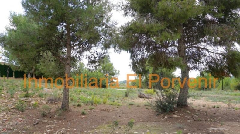 Valencia - Torrente - 2036m2