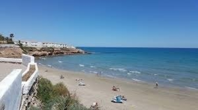 Alicante - Benijófar - 2000m2
