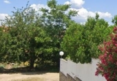 Land suitable for development for sale on España, Plasencia, ref: TR151632 photo