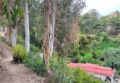 Casa con terreno en venta en la España, Málaga, ref: TR283513 foto