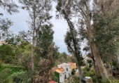 Casa con terreno en venta en la España, Málaga, ref: TR283513 foto