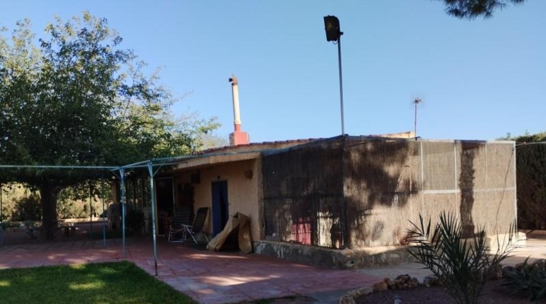 Аликанте - Muchamiel - 5247m2