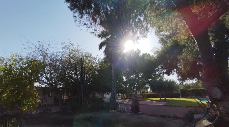 Аликанте - Muchamiel - 5247m2