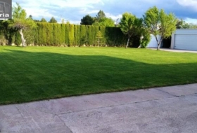 Foto 9