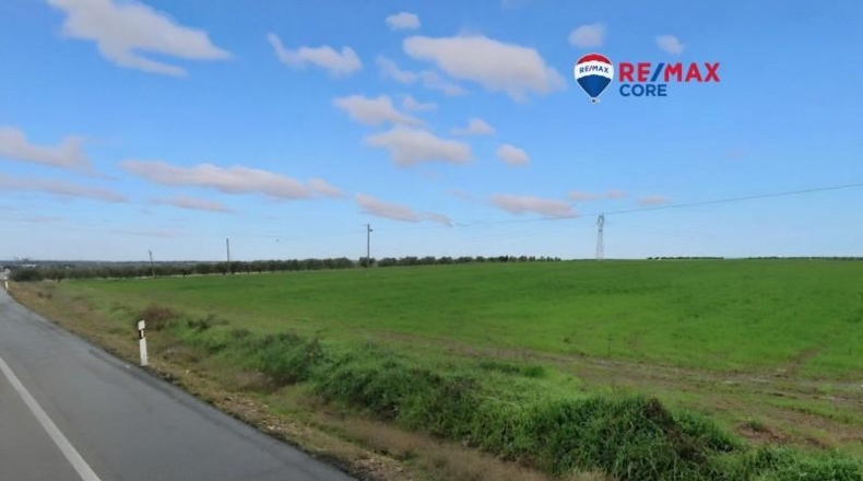 Бадахос - Mérida - 100000m2