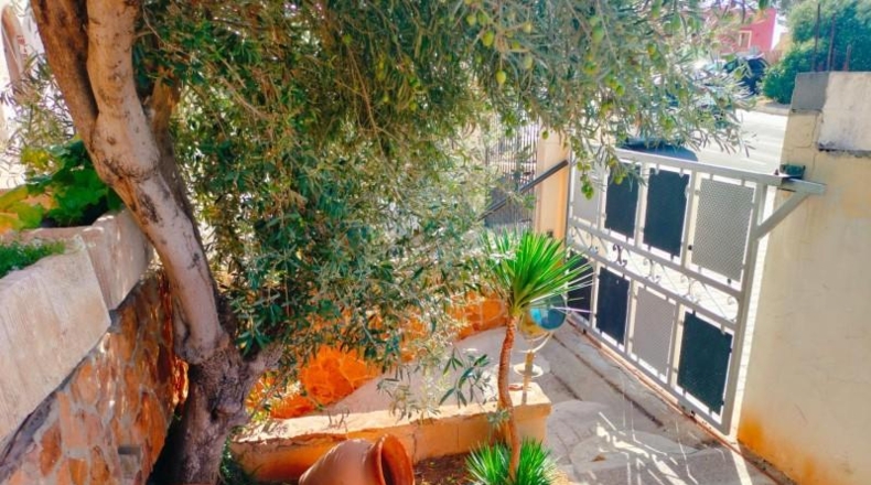 Islas Baleares - Palma - 366m2