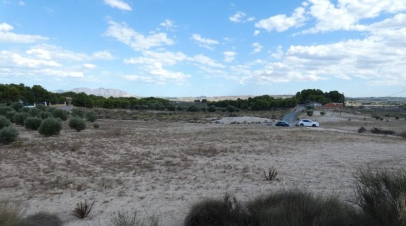Múrcia - Molina de Segura - 62000m2