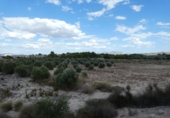 Terreno no urbanizable en venta en la España, Molina de Segura, ref: TR116250 foto