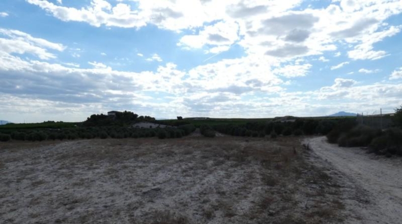 Múrcia - Molina de Segura - 62000m2