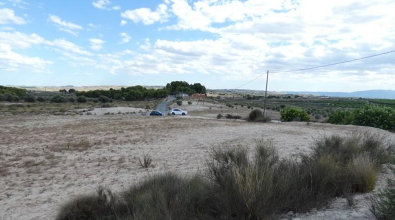 Múrcia - Molina de Segura - 62000m2