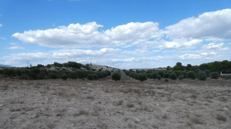 Múrcia - Molina de Segura - 62000m2