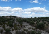 Terreno no urbanizable en venta en la España, Molina de Segura, ref: TR116250 foto