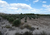 Terreno no urbanizable en venta en la España, Molina de Segura, ref: TR116250 foto