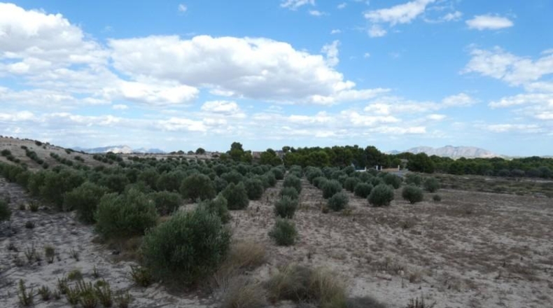 Múrcia - Molina de Segura - 62000m2