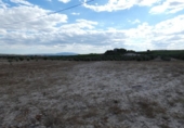 Terreno no urbanizable en venta en la España, Molina de Segura, ref: TR116250 foto