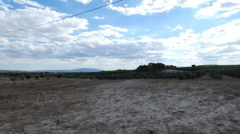 Múrcia - Molina de Segura - 62000m2