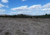 Terreno no urbanizable en venta en la España, Molina de Segura, ref: TR116250 foto