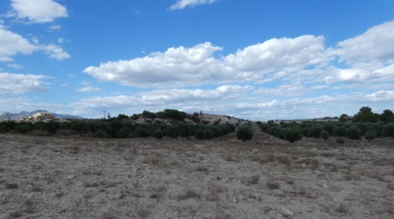 Múrcia - Molina de Segura - 62000m2