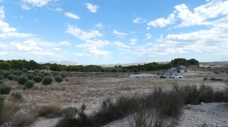Múrcia - Molina de Segura - 62000m2
