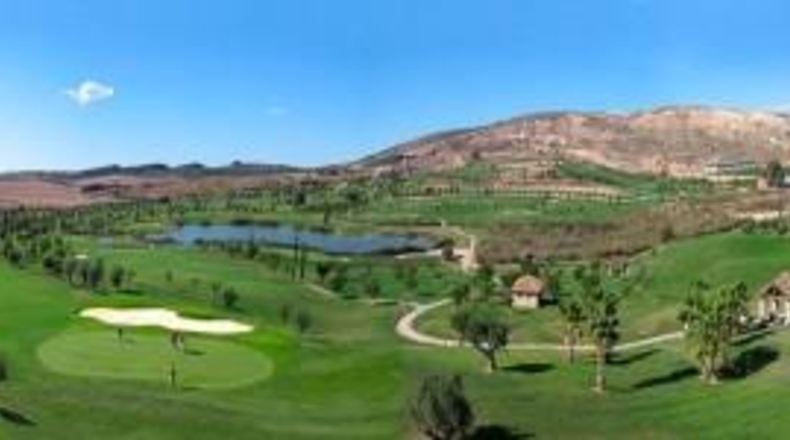 Alicante - Algorfa - 430m2