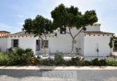 Chalet independiente con terreno en venta en la España, Orihuela, ref: TR138353 foto