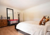 Chalet independiente con terreno en venta en la España, Orihuela, ref: TR138353 foto
