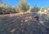 Xalet independent amb terreny en venda a la España, Barbate, ref.: TR165151 foto