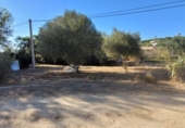 Xalet independent amb terreny en venda a la España, Barbate, ref.: TR165151 foto