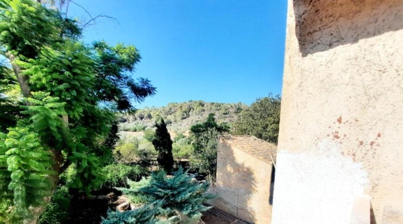 València - Alberique - 25000m2
