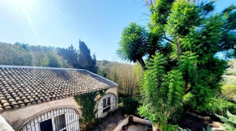 València - Alberique - 25000m2
